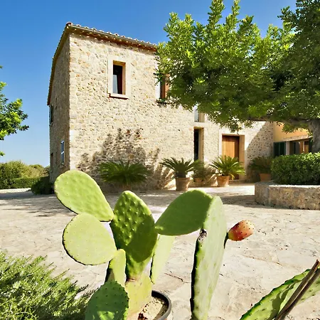 Alzina Selva (Mallorca)