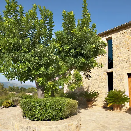 Alzina Villa Selva (Mallorca)