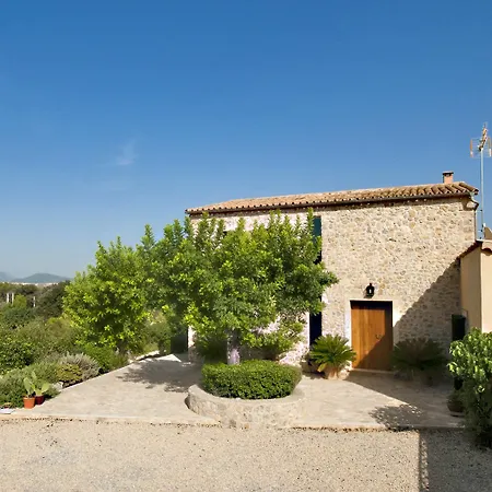 Alzina Selva (Mallorca)